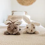 Hotel Boutiquehotel Omnia *